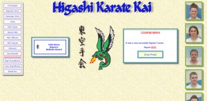 Higashi Karate