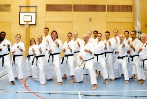 Higashi Karate Friends