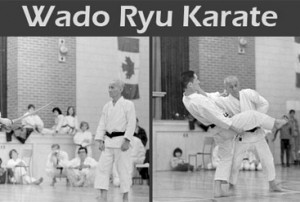 Wado Ryu Karate