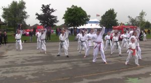 Luton Karate Demo