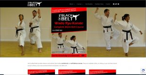 Get My Black Belt
